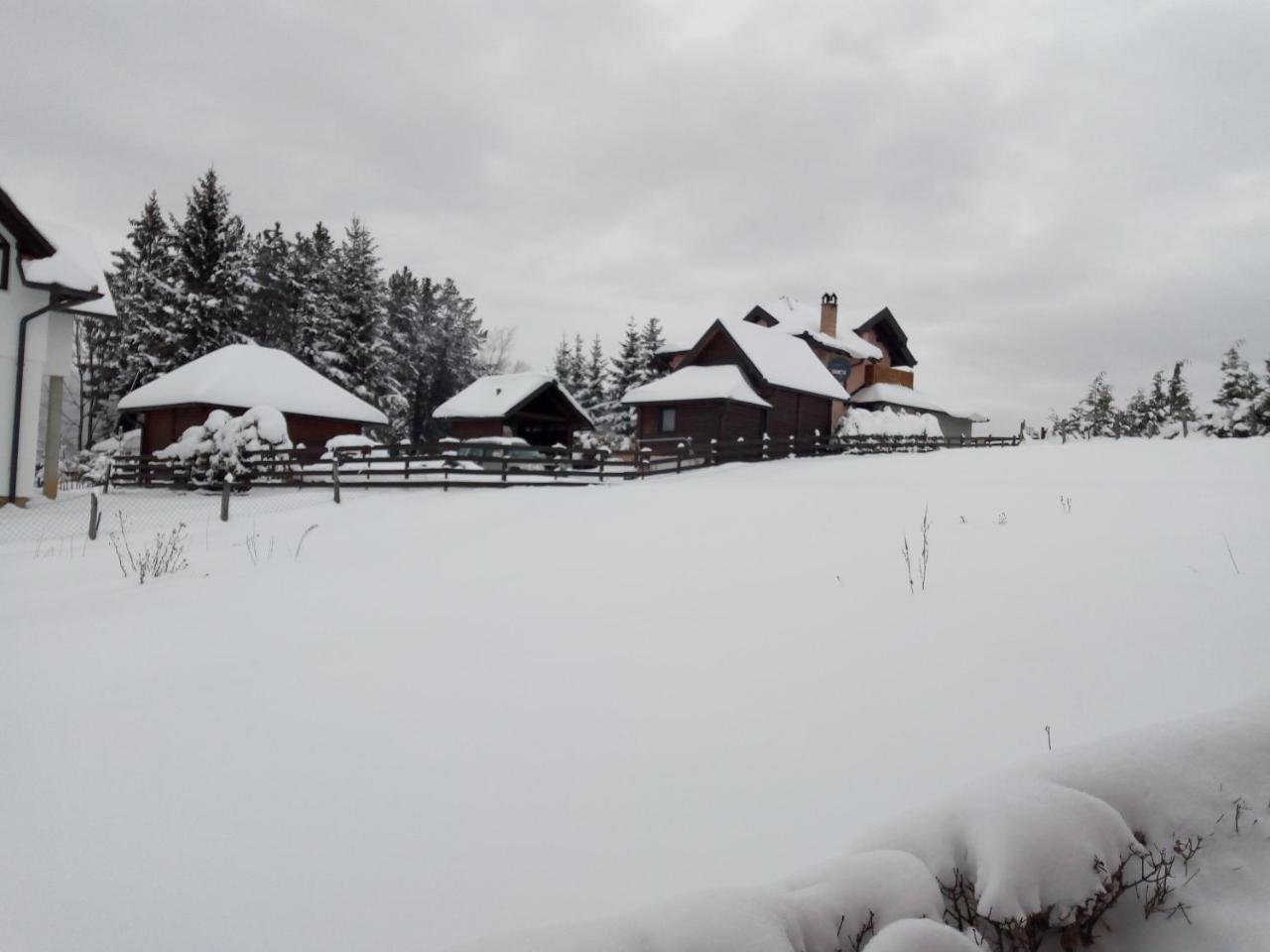 Vila Dodi Villa Bajina Basta Exterior foto